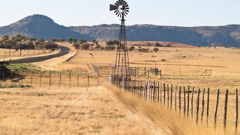 A metal windmill stands in a dry, yellow field next to a wire fence, with mountains and scattered trees in the background under a clear sky.