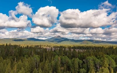 Our Reach Throughout the PNW