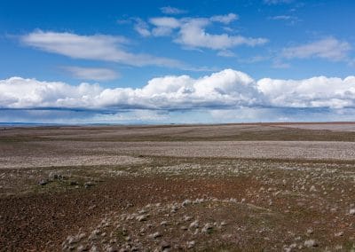 93190 Liberty Lane – Sherman County Farm for Sale