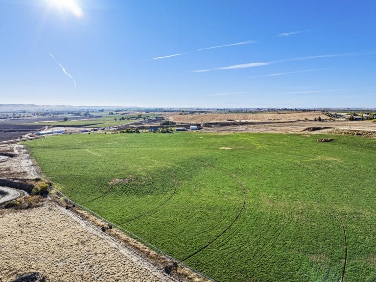 Properties 10 Hyline Farm & Feedlot – Productive Oregon Feedlot For Sale