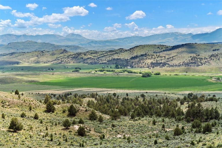 Four S Land & Cattle – Productive Oregon Ranch for Sale