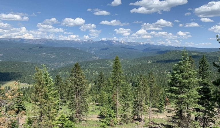 Catherine Creek Property