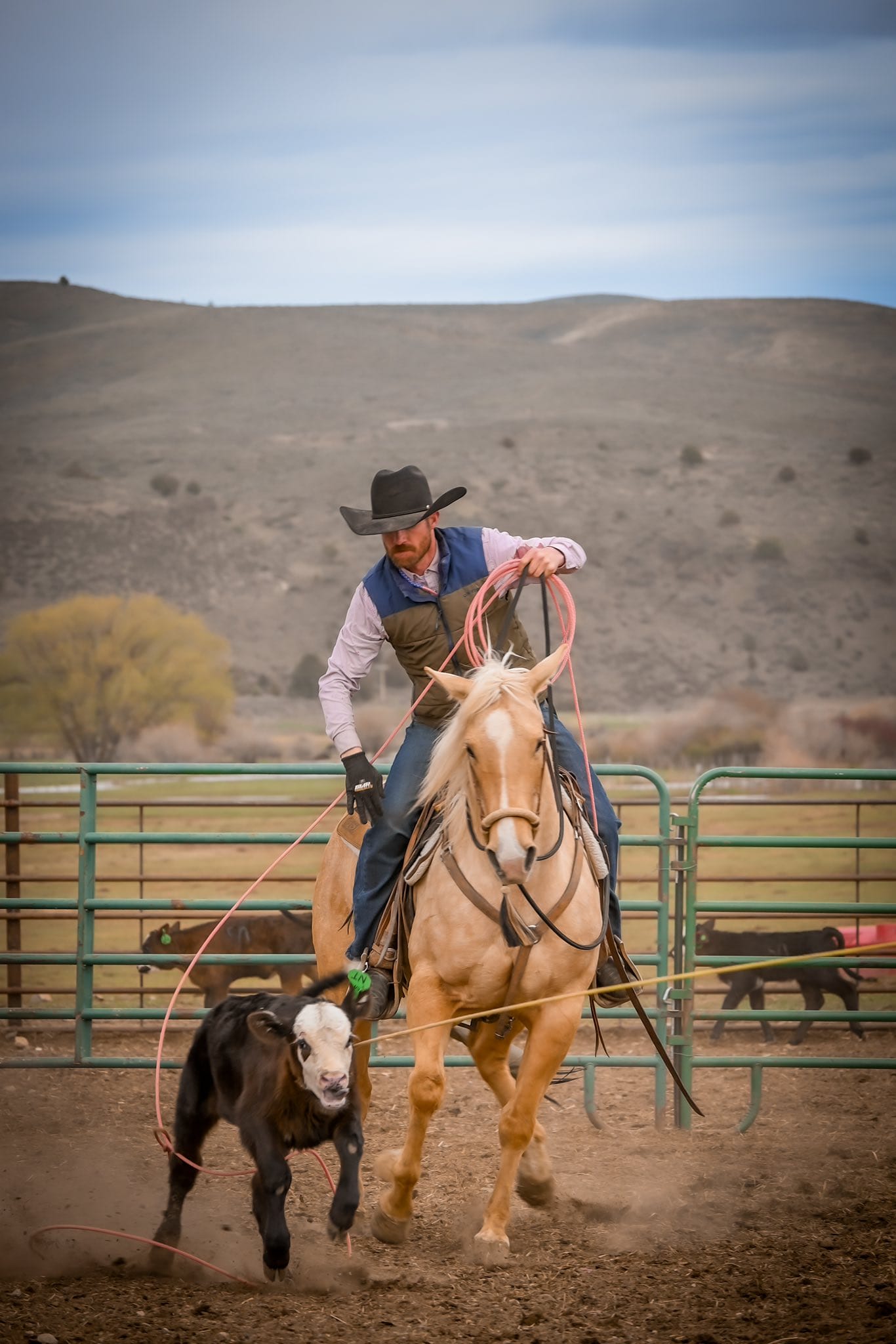 Oregon Ranches: More Acreage. More Wildlife. More Value.