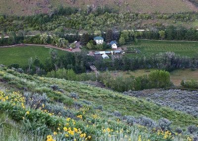 Eagle Creek Farm & Orchard