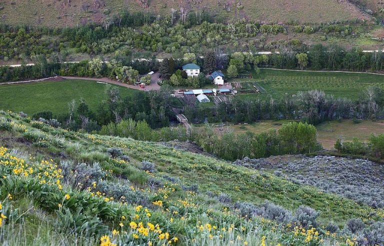 Eagle Creek Farm & Orchard