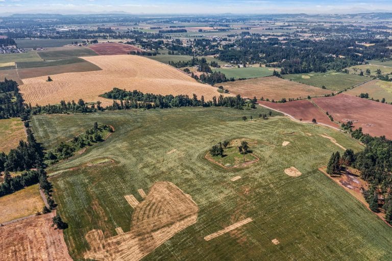Sublimity 152 — Productive Willamette Valley Farm for Sale with Creek Frontage and Homesite Potential